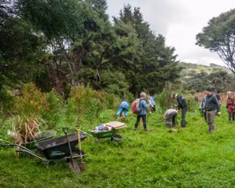Matuku Reserve Trust