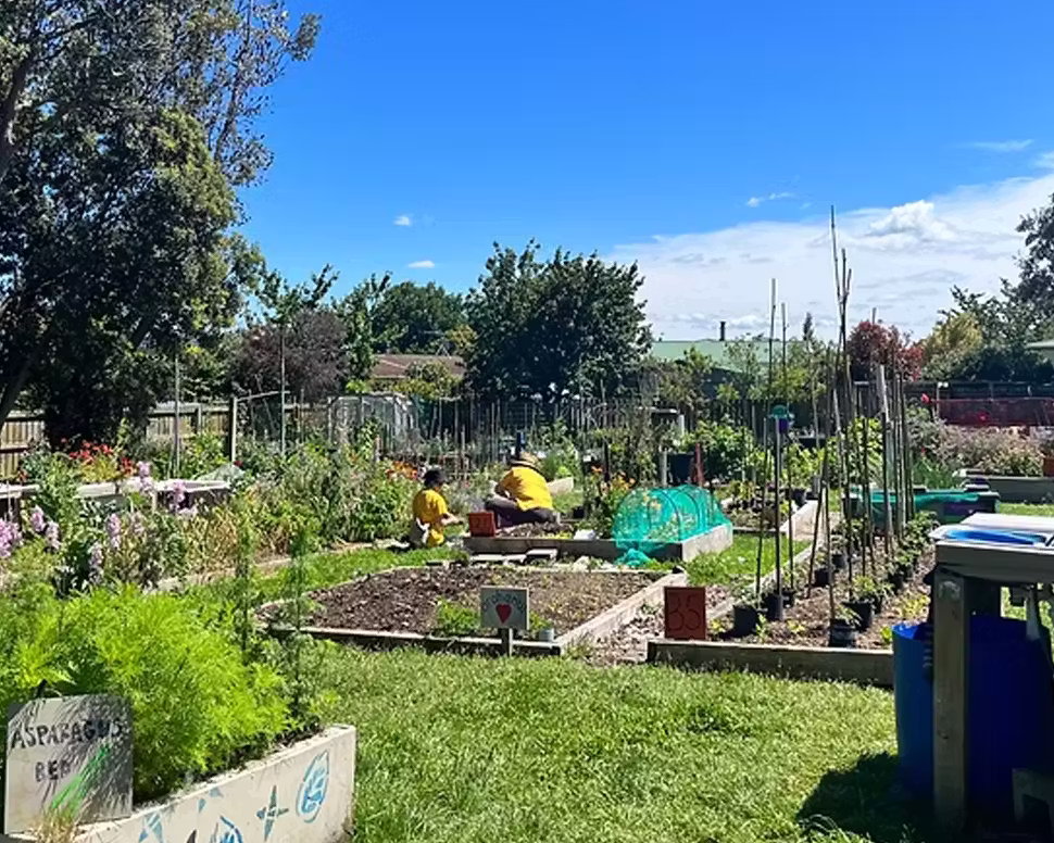 Taupō Community Gardens